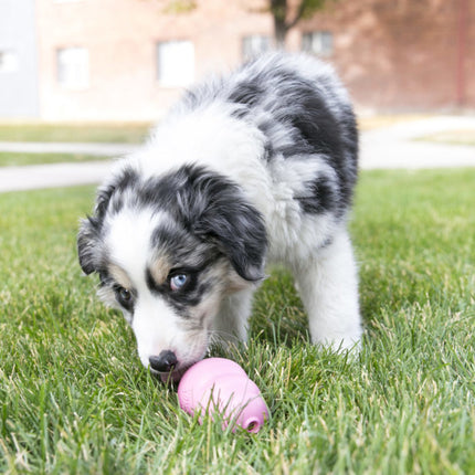 Puppy Small