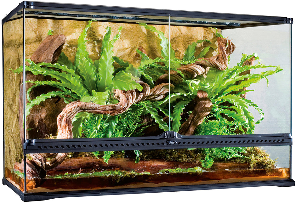 Terrarienkombination 90,5x46,5x140,5cm