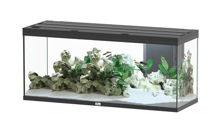 Wolga 450 Aquarium