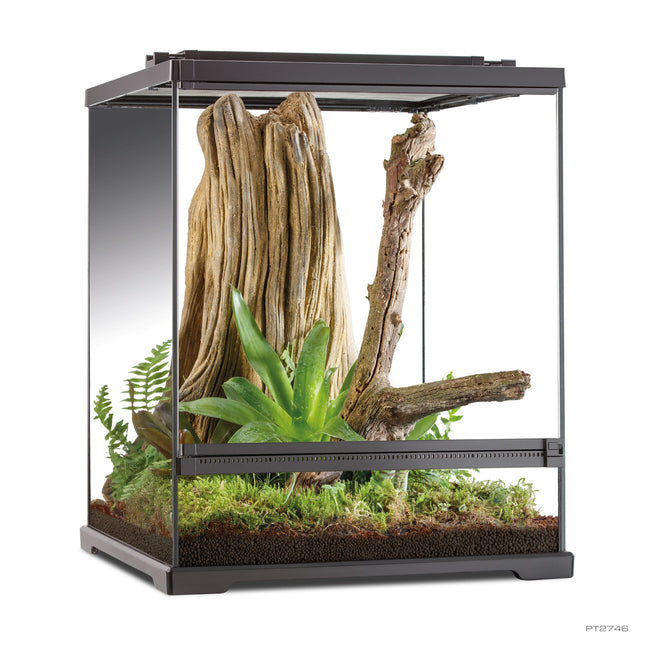 Laubfrosch-Terrarium 45x45x60cm