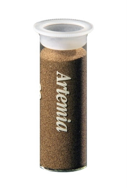 Artemia-Eier 20 ml