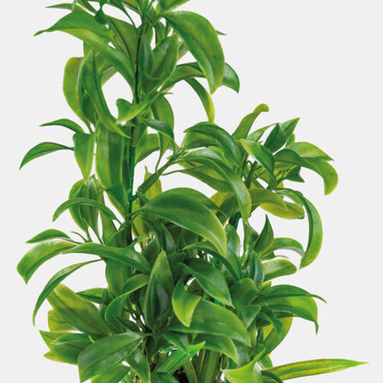 AnimalstoreXL Art Plant 25cm Dracaena