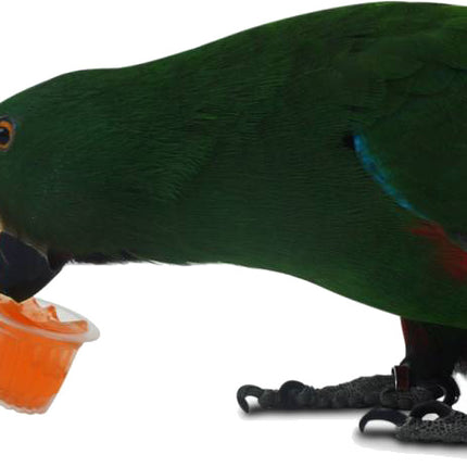 AnimalstoreXL Fruitcup Mix 6 stuks