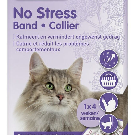 AnimalstoreXL No Stress Band Kat