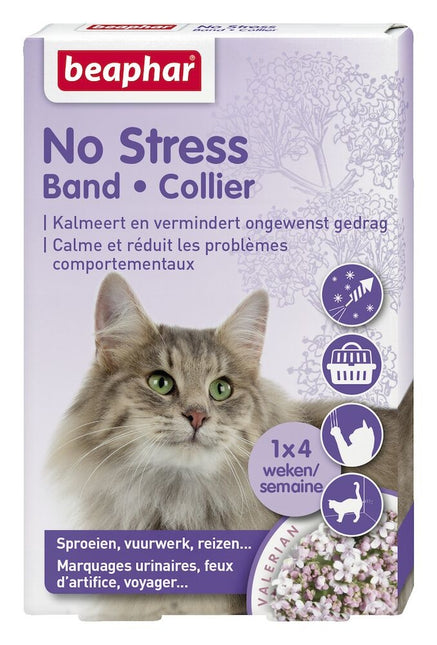 No Stress Band Kat