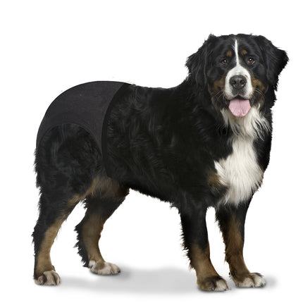 Slipeinlagen für Hundehosen XL/XXL