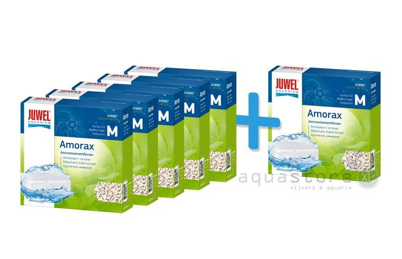 Amorax m Compact 3.0 5+1 kostenlos