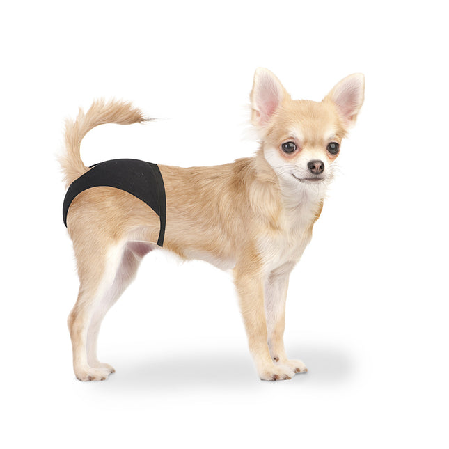 Hundehose XS 18-23cm