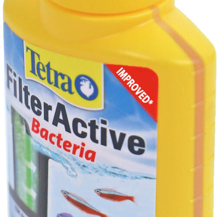 Filter Active 100ml x3