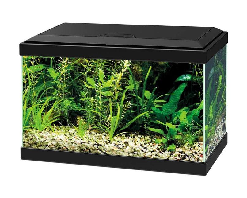 Aqua 20 LED Schwarz