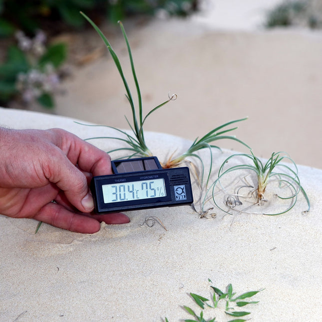 TerraSand naturweiß 5 Liter