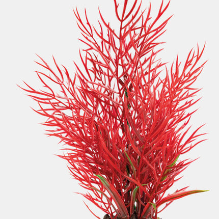 AnimalstoreXL Art Plant 25cm Ludwigia