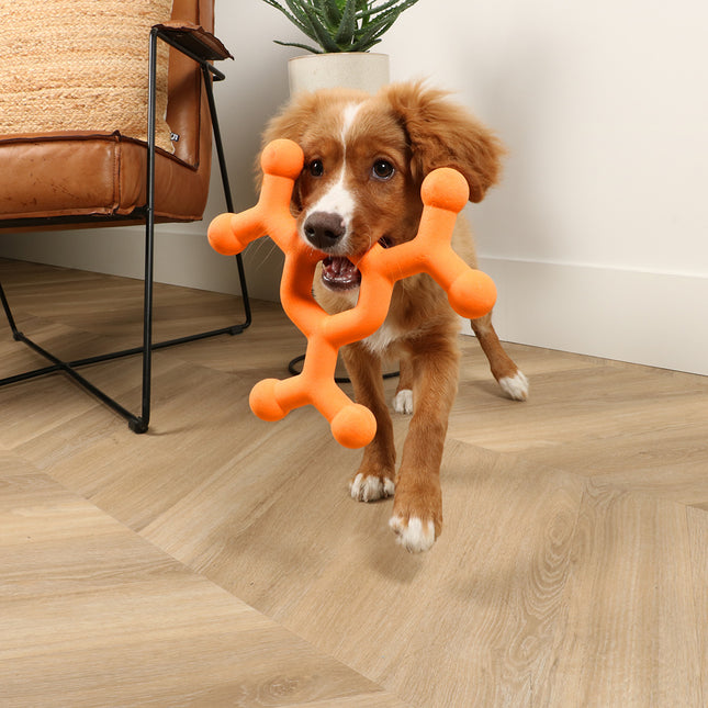 Dawg Science Hundespielzeug L Orange