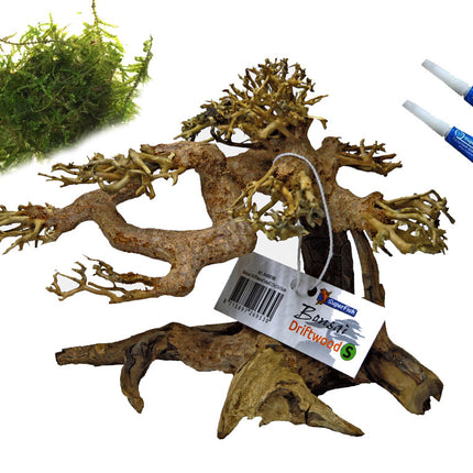 AnimalstoreXL Voordeel Aquarium Bonsai Bundel