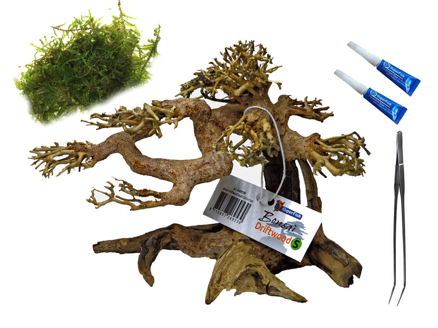 Advantage Aquarium-Bonsai-Paket