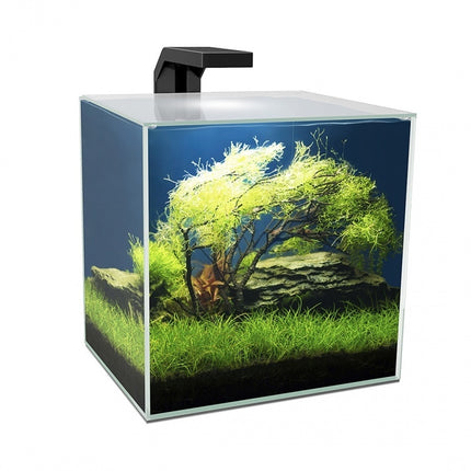 Aquarium cube 15 LED CF40