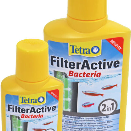 Filter Active 100ml x3