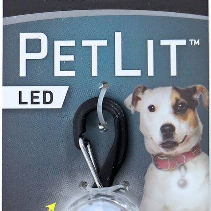 Pet Lit halsband lamp