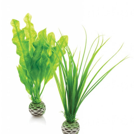 Easy plants 2x small groen