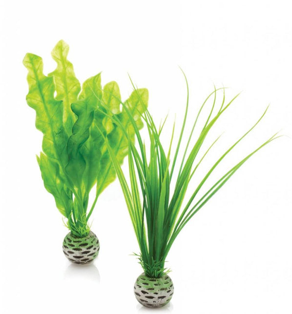 Easy plants 2x small groen