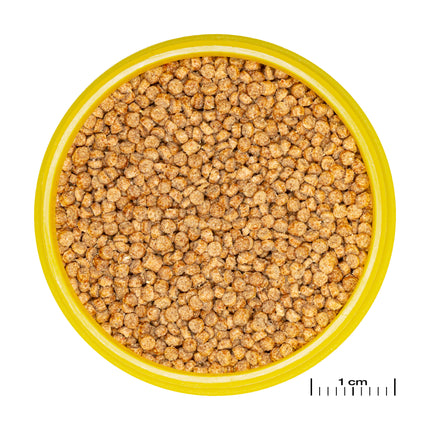 AnimalstoreXL Pronovo Cichlid Grano S 250ml Click