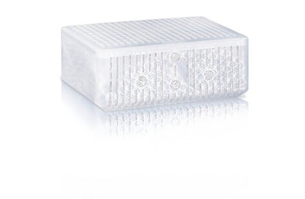 AnimalstoreXL Amorax XL standard 8.0