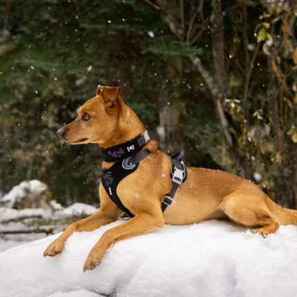 AnimalstoreXL Hurtta - Harness Weekend Warrior Zwart