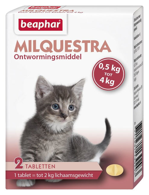 Milquestra Katzenkätzchen 0,5–4 kg