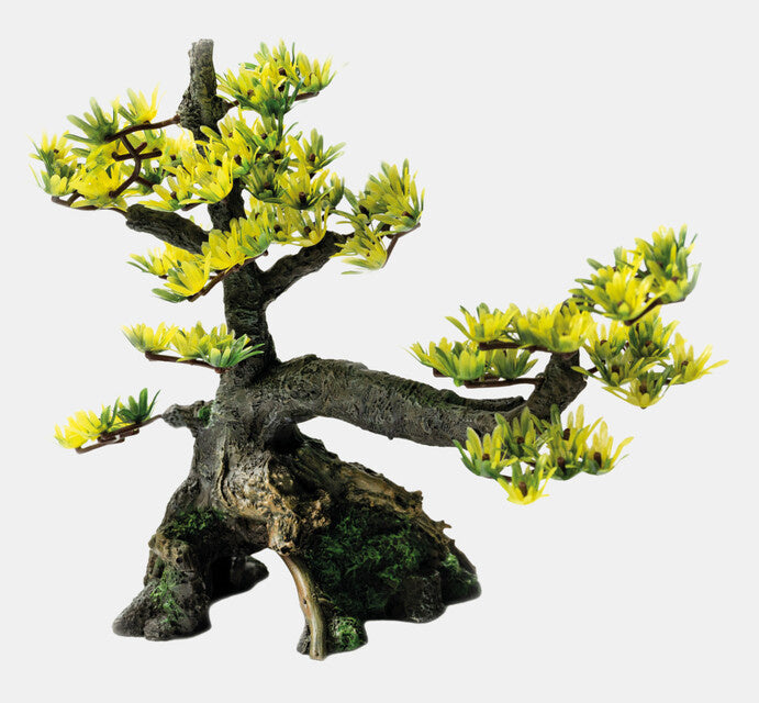 Deco Bonsai M