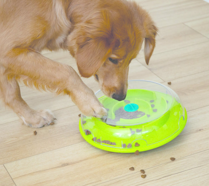 Nina Ottosson Hundespiel Wobble Bowl