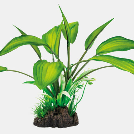 AnimalstoreXL Art Plant 25cm Cryptocoryne