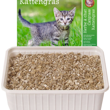 AnimalstoreXL Kattengras