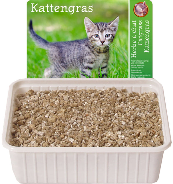 Katzenfutter-Puzzle mit Katzengras