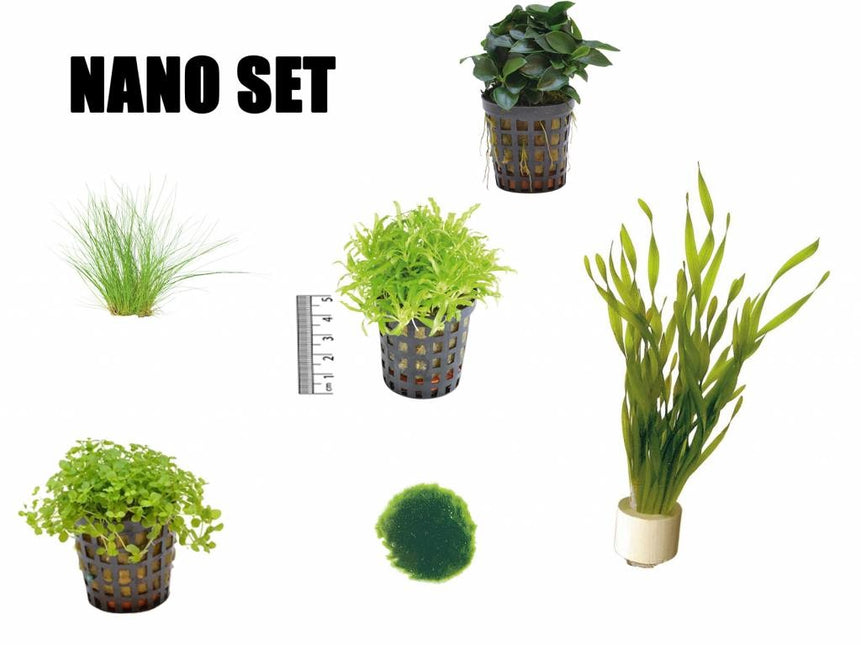 Plantenpakket Nano