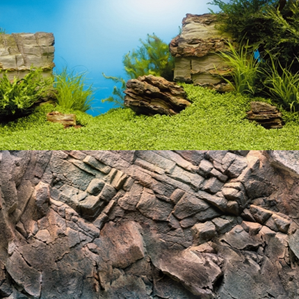 AnimalstoreXL Poster 1 Tweezijdig Gedrukt