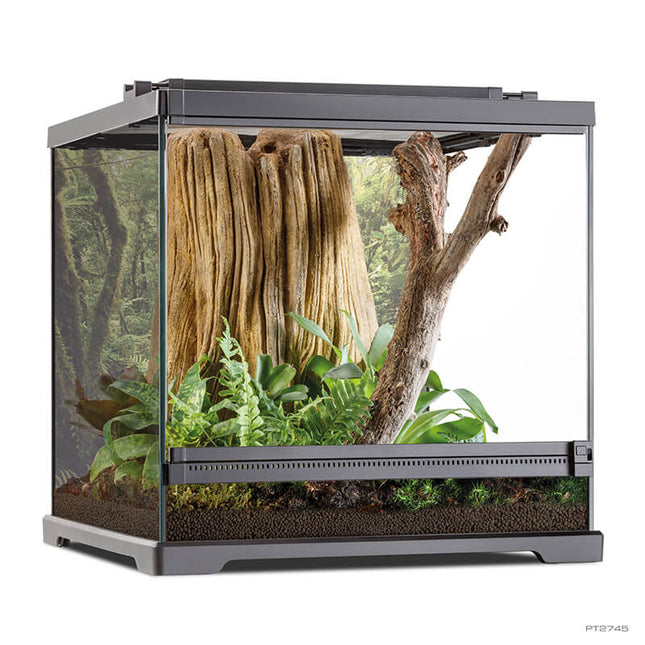 Pfeilgiftfrosch-Terrarium 45x45x45cm