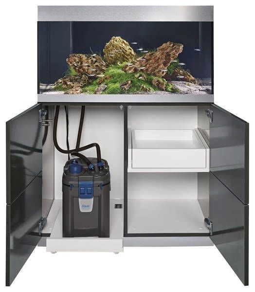 BioMaster2 250