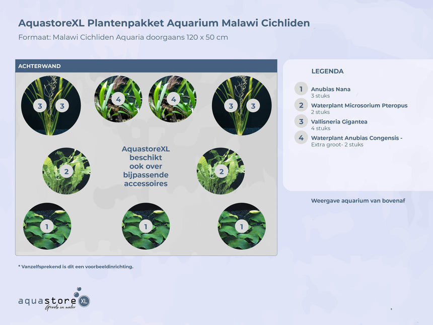 Pflanzenpaket Aquarium Malawi Buntbarsche