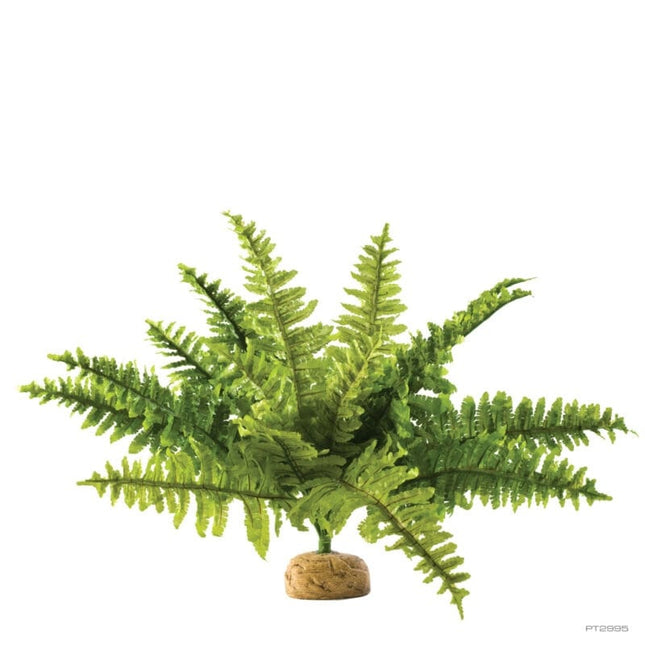 Kunstpflanze Boston Fern M