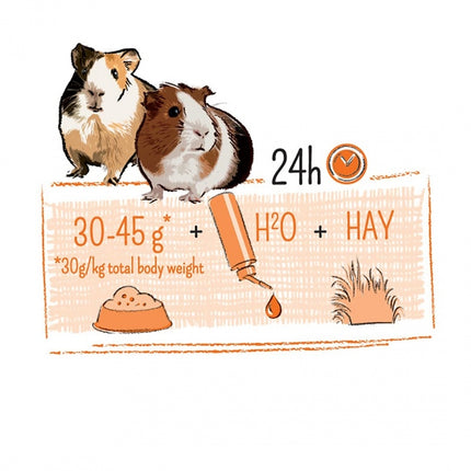 AnimalstoreXL Puur Cavia 2,5kg