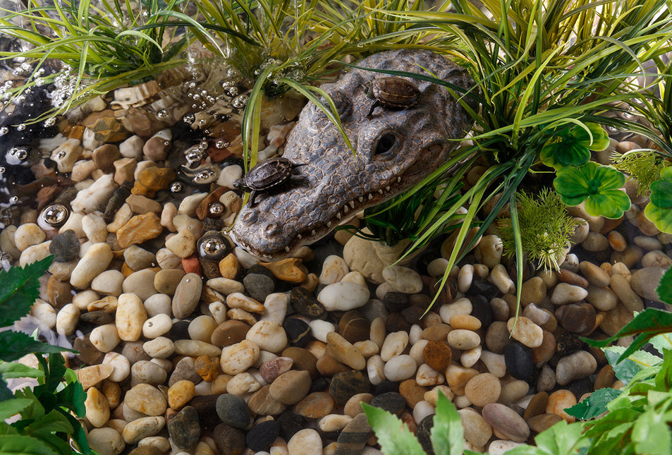 Krokodilschildkröteninsel