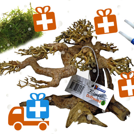 AnimalstoreXL Voordeel Aquarium Bonsai Bundel