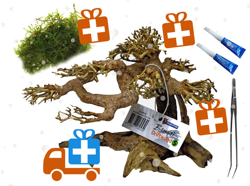 Advantage Aquarium-Bonsai-Paket