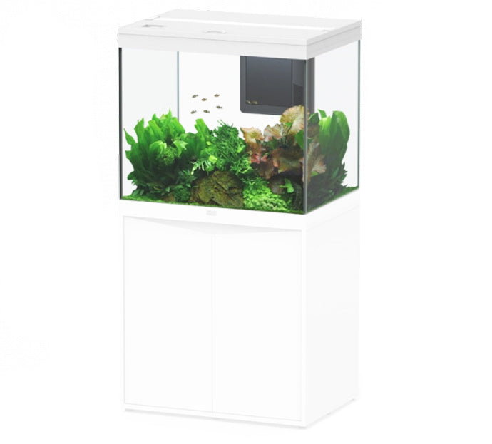 Aquarium Wolga 200 Weiß-025