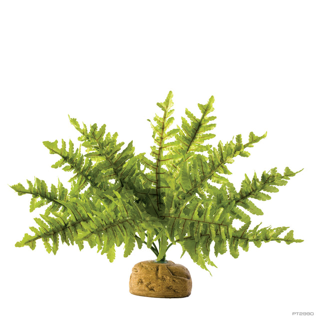 Kunstpflanze Boston Fern S