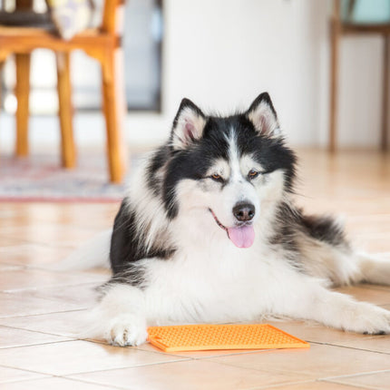 Likmat Buddy Hond Oranje 20cm