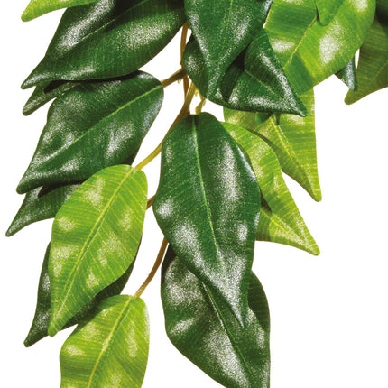 Kunstplant Ficus Medium