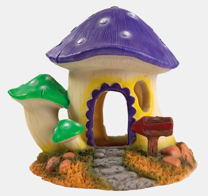 Mushroom House M