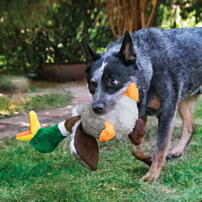 Shaker Honkers Duck Small