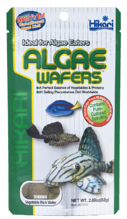 AnimalstoreXL Zinkende Algen Tabletten voor Algetende Vissen - 1 kg